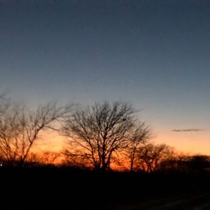 Meet your Posher, Sydney